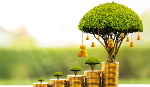 Stacking gold coins and money bag of tree with growing put on the wood on the morning sunlight in public park, Saving money and loan for business investment concept.